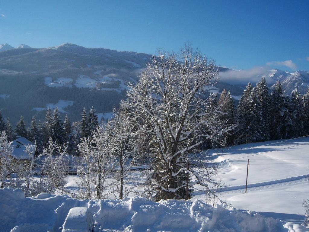 Appartement Zum Roessl Ramsau am Dachstein Cameră foto
